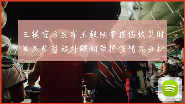 三镇官方发布王毅韧带损伤恢复时间及陈哲超外踝韧带损伤情况分析