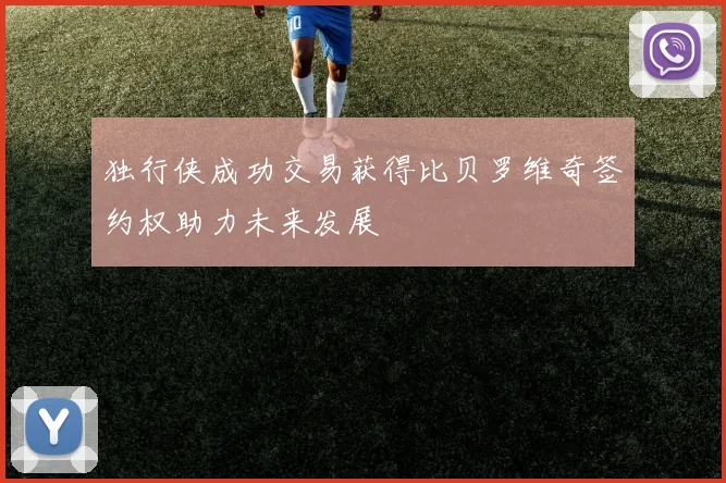 独行侠成功交易获得比贝罗维奇签约权助力未来发展